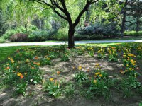 Moderne 2-Zimmer-Wohnung in 1100 Wien – Ihr neues Zuhause wartet!