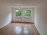 SINGLEHIT - KLEIN ABER MEIN!!!