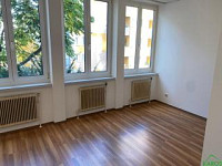 PERFEKT GESCHNITTENER SINGLEIHIT 