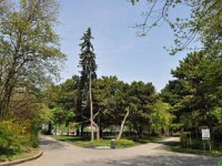 2-ZIMMER-WOHNUNG *AM WALDMÜLLERPARK*