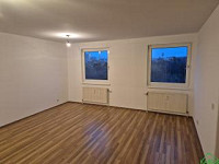 PÄRCHENHIT AM WALDMÜLLERPARK!