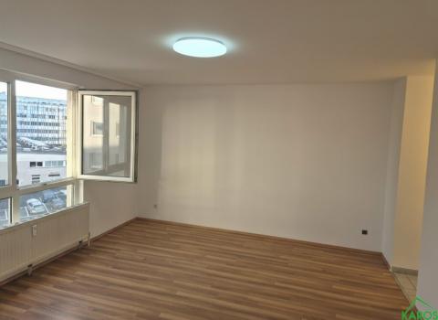 Sonnleithnergasse: 1-Zimmer-Wohnung zu mieten!