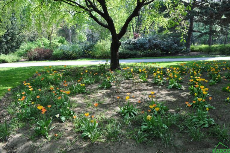 Moderne 2-Zimmer-Wohnung in 1100 Wien – Ihr neues Zuhause wartet!